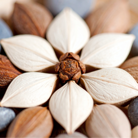 16 mai 2026 - Genève